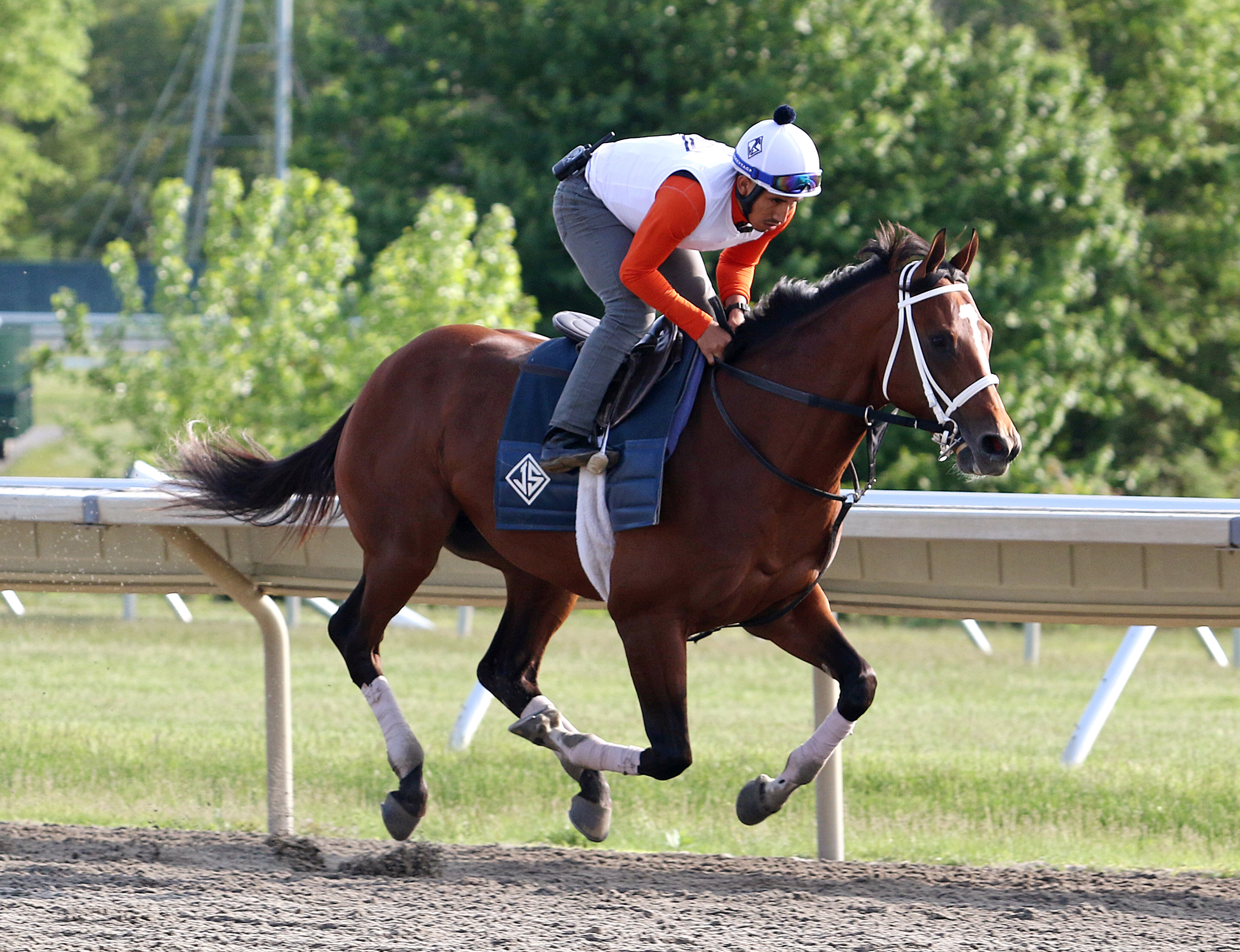Monmouth Maximum Security Two Minute Licks Jason Servis Discusses How He Came Out Of The Derby And Future Plans Drf Live